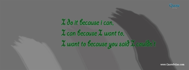 29_650-i-do-it-because-i-can-i-can-because-i-want-to-i-want-to-because-you-said-i-couldn-t