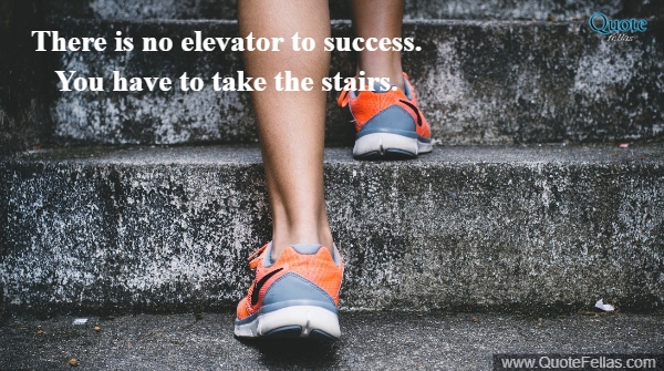 295_650-there-is-no-elevator-to-success-you-have-to-take-the-stairs
