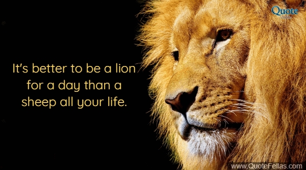 327_650-it-s-better-to-be-a-lion-for-a-day-than-a-sheep-all-your-life