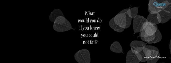 31_650-what-would-you-do-if-you-knew-you-could-not-fail